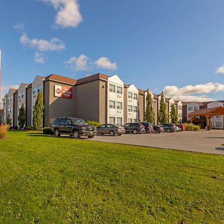 Best Western Plus Rose City Suites Welland Zewnętrze zdjęcie